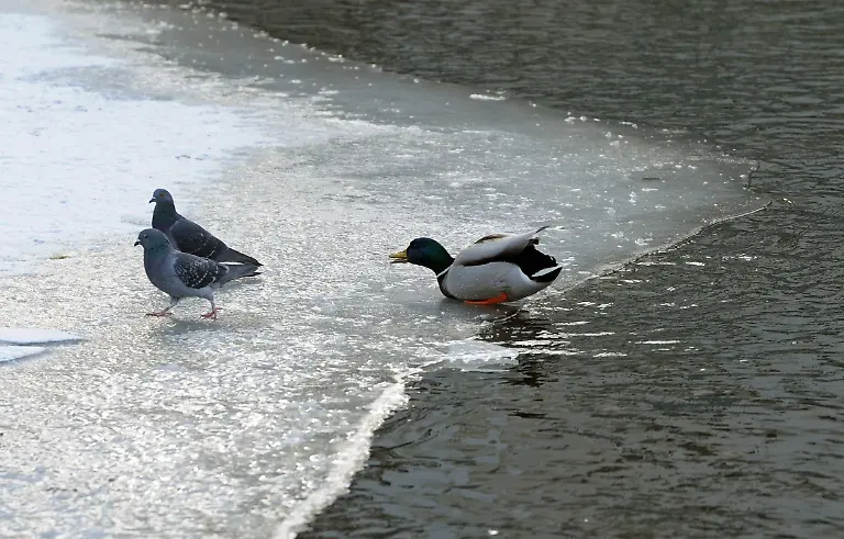 32r32802-jpg8102099996997494833