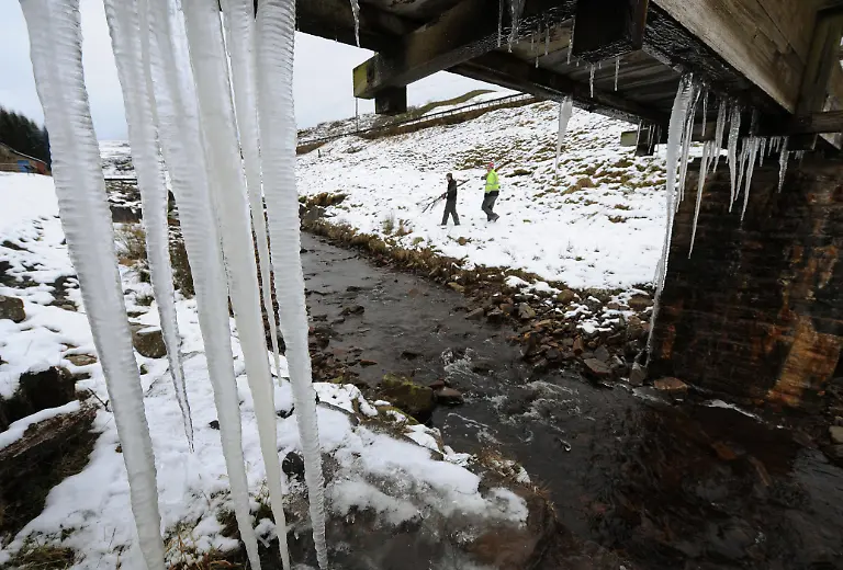 DAB1876-20120129-jpg1710448898734603751