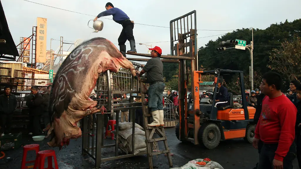 32pv2123-jpg7066566196228313899