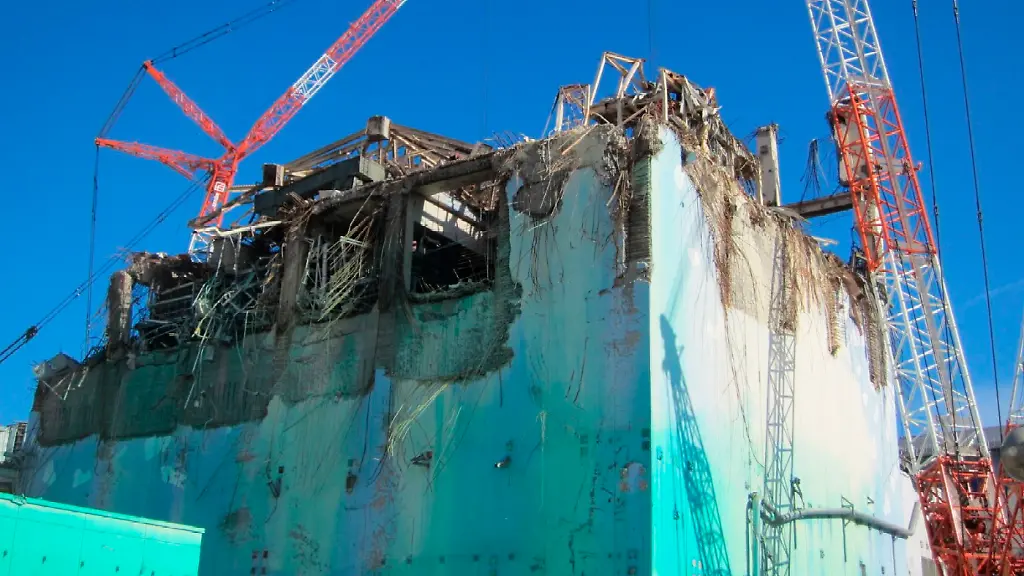 2012-01-20T165404Z-01-TOK004-RTRMDNP-3-JAPAN-ENDOSCOPE-JPG1452517742683628793