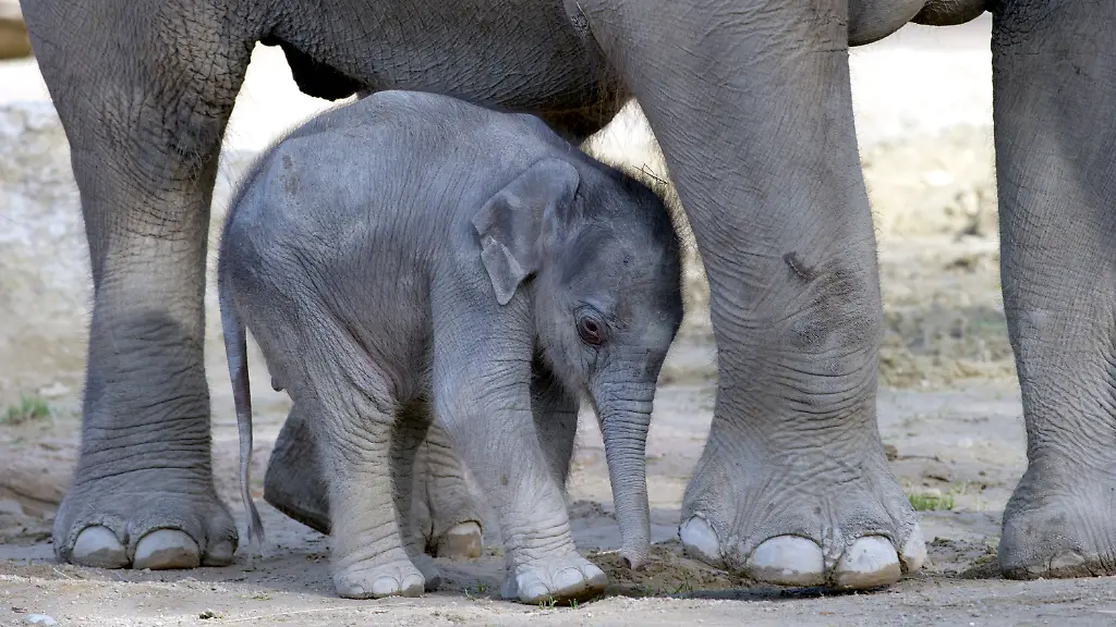 32jw5425-jpg7142191138600505564