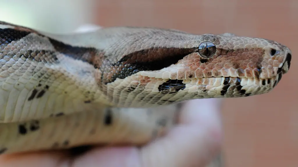 32it0039-jpg6407303303112434059