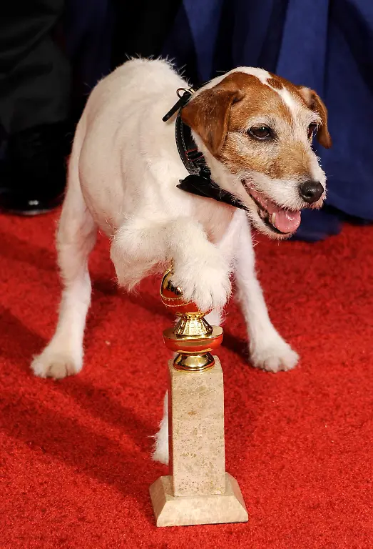 32i54014-jpg7682335321046118030