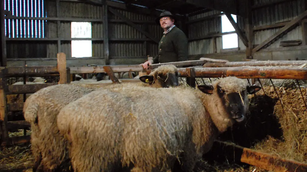 32gg4836-jpg8137478433332371877