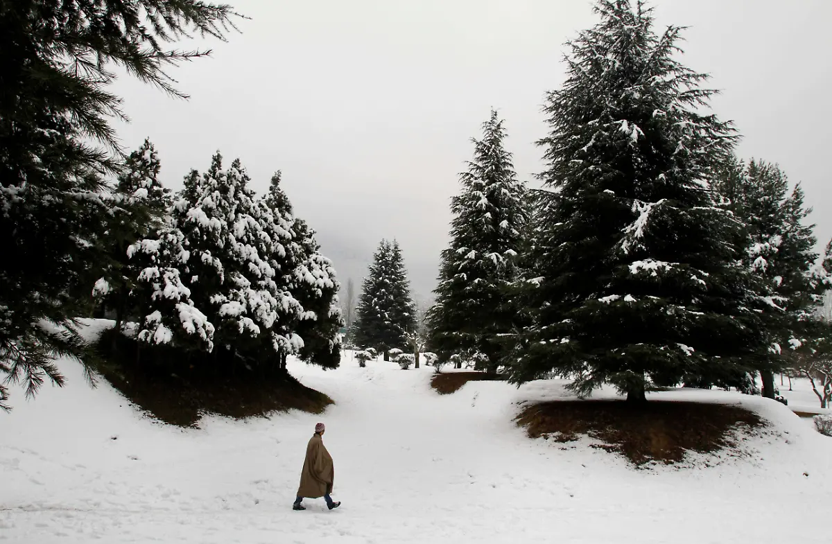 DAB1361-20120109-jpg3384605749713721933