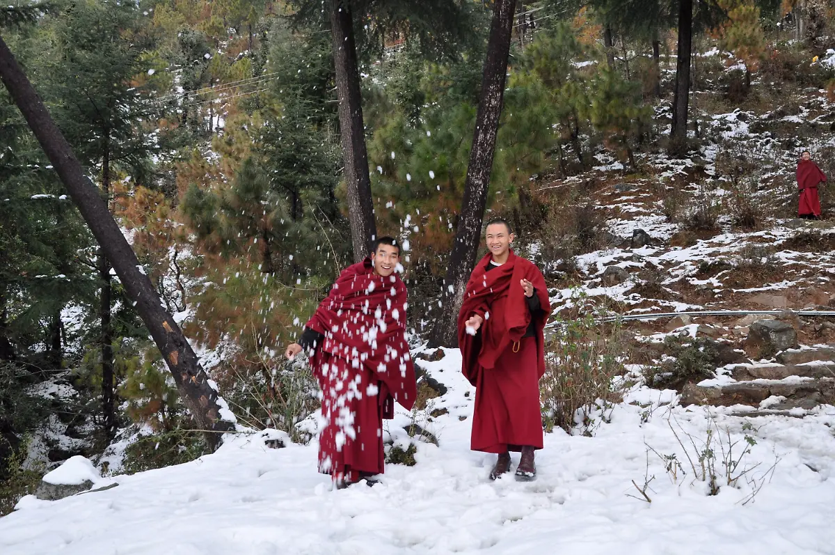 32d54407-jpg7524467260035404124