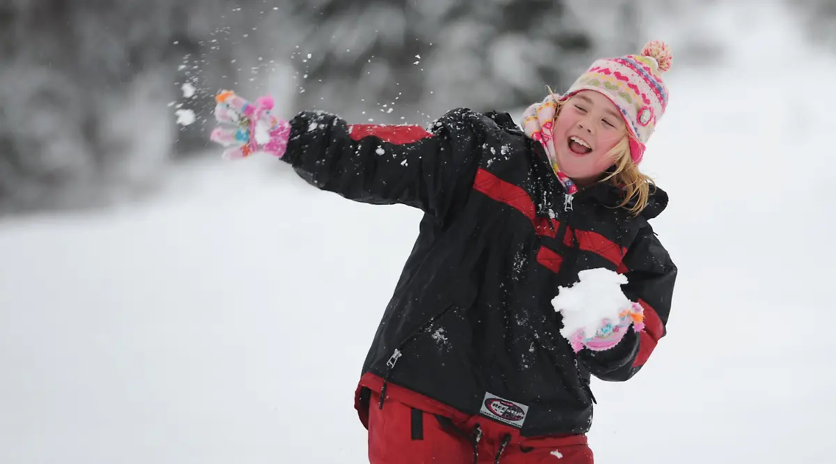 32e50441-jpg1847401898651473822