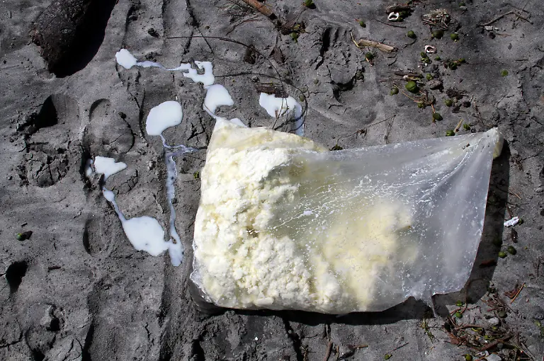 1326076484-jpg2588359647442505855