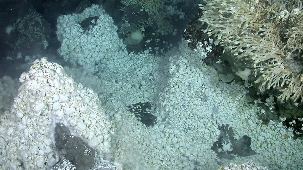 329k0009-jpg4282436378753778488