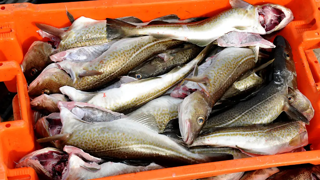 328t0026-jpg5435093589158754862