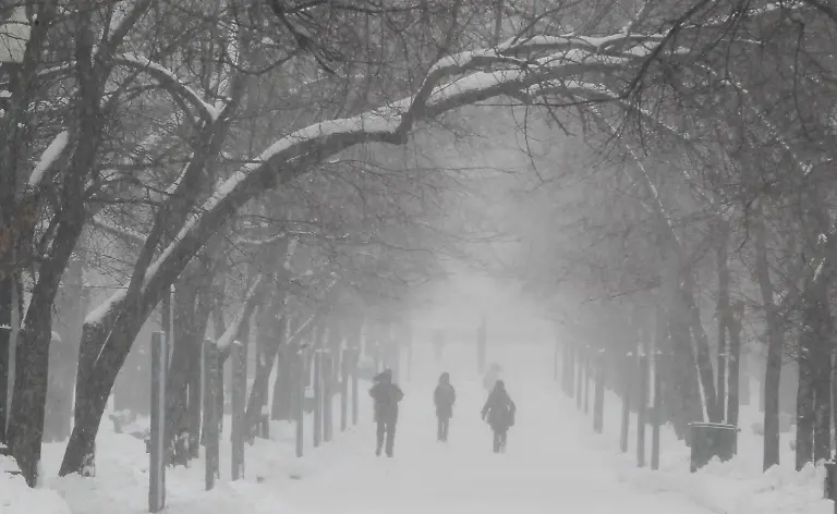 324d0014-jpg663318021030538975