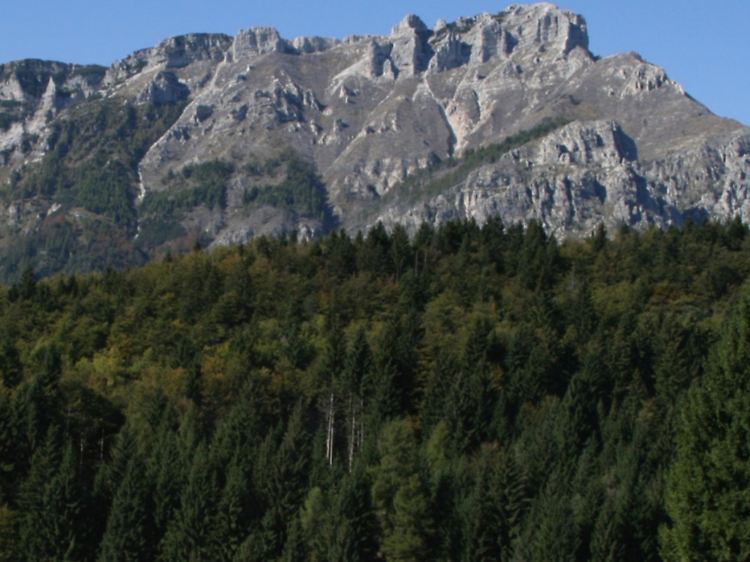 Alpenstrasse190711.jpg