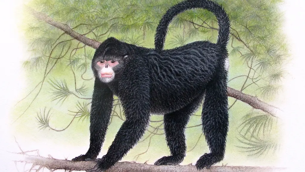 31ua5349-jpg593272448320659064