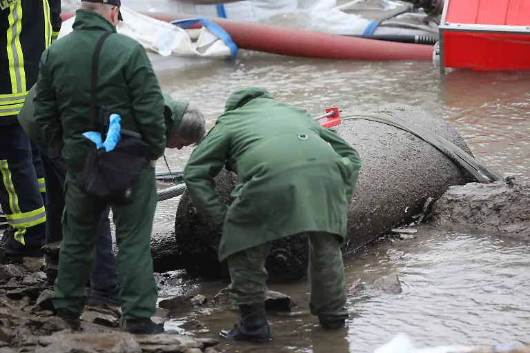 31p22119-jpg6895047379971936078