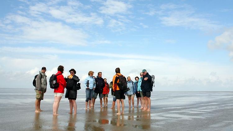Im Wattenmeer an der deutschen Nordseeküste wandern Touristen ab sofort durch eine Weltnaturerbe-Region.