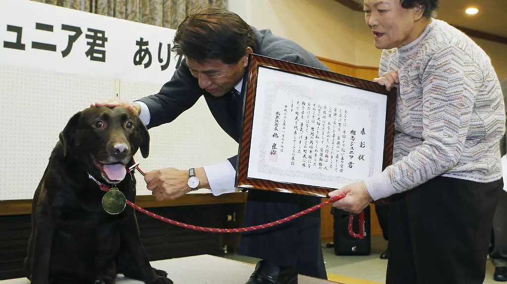 31j11439-jpg7774855426619017739