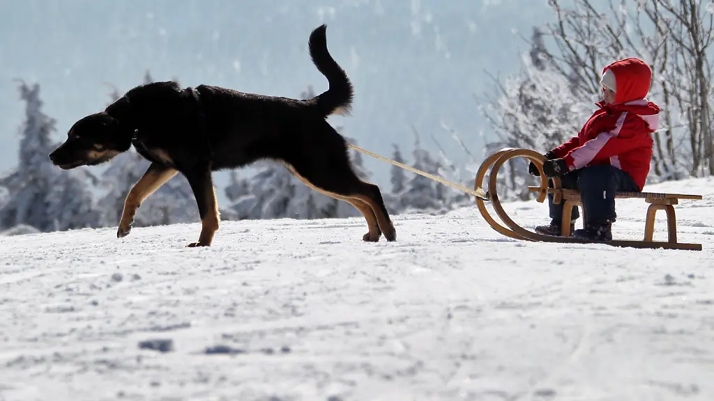 1322120509-jpg6449029504399358649