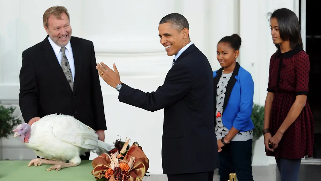 31ht2219-jpg8601612105147423204