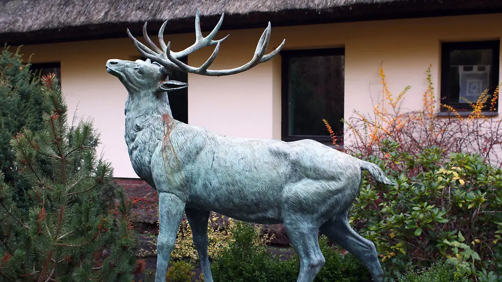 31g50209-jpg7374924095125419988