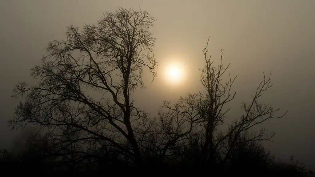 31gc0429-jpg8894836969337966334