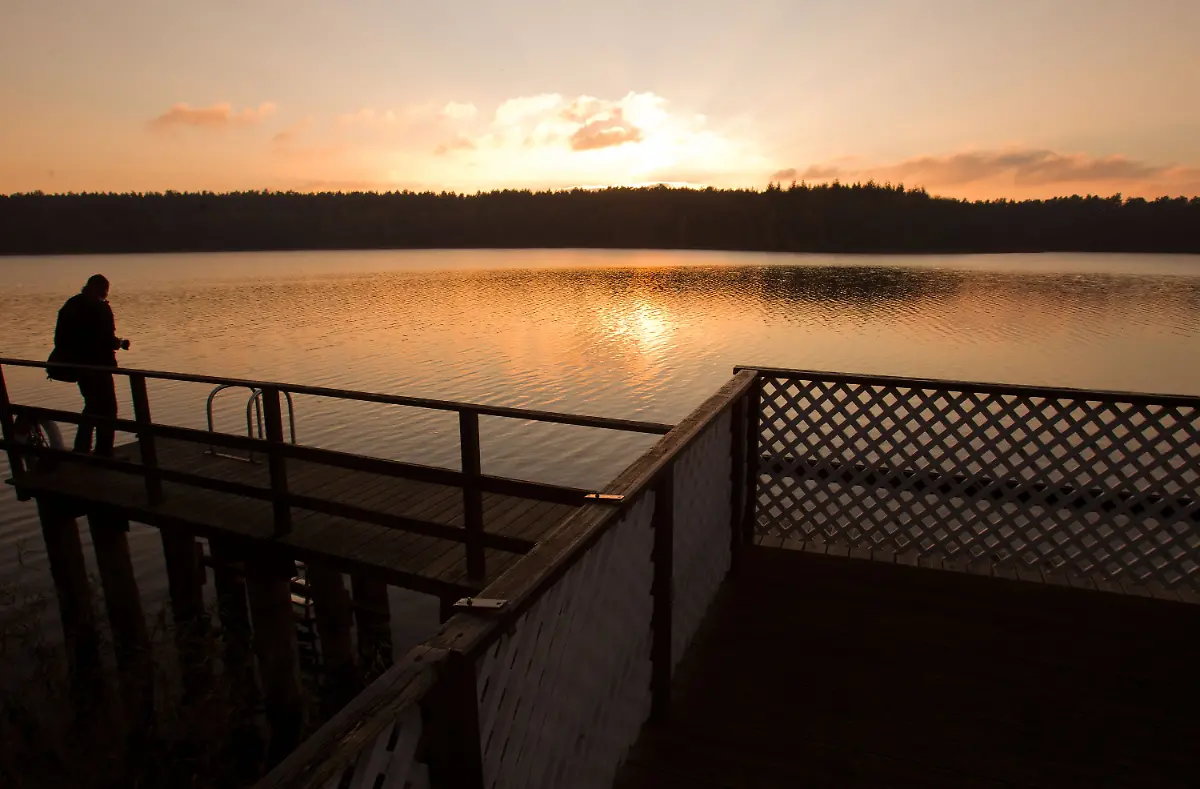 31g50115-jpg1742172163165906532