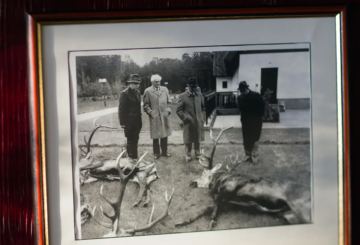 31g50118-jpg7942418621895566007