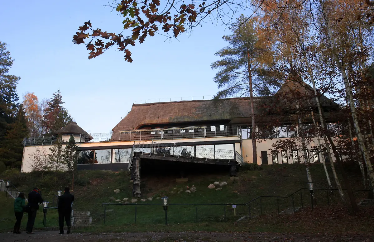 31g50150-jpg1385207873564415505