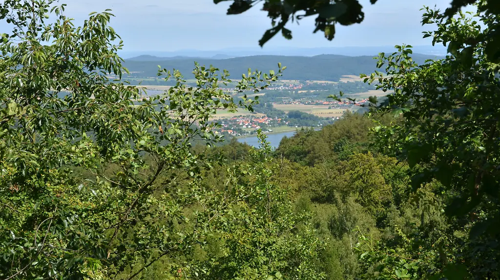 31g84348-jpg6281969486120932528