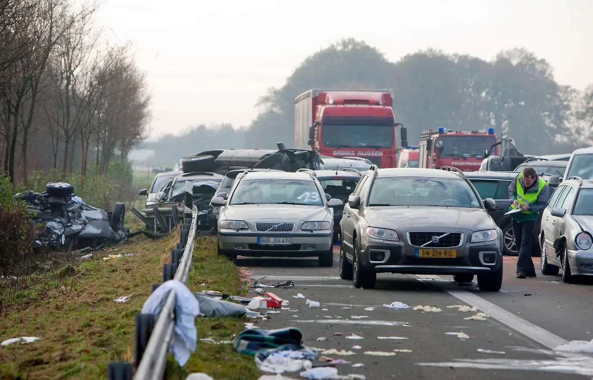 31ez3652-jpg8425941272527155963