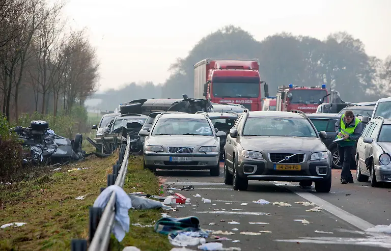 31ez3652-jpg8425941272527155963