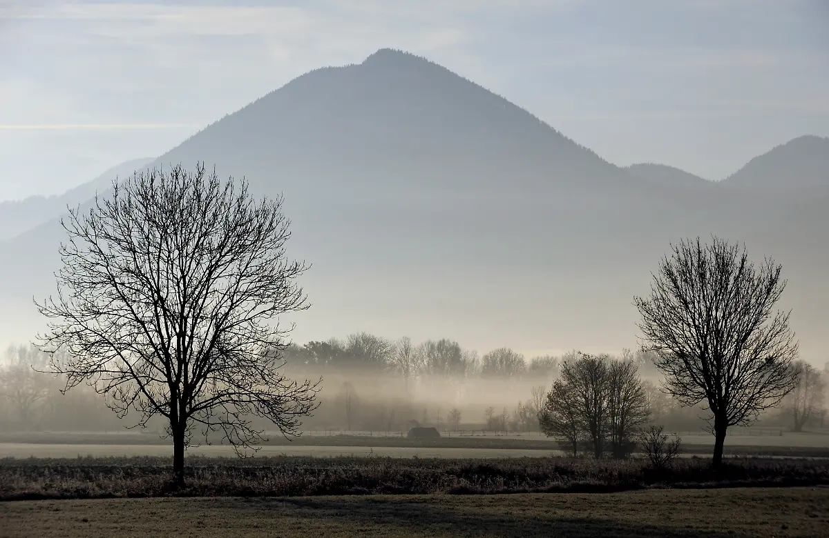 1321615117-jpg3719266629363839337