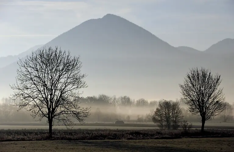 1321615117-jpg3719266629363839337