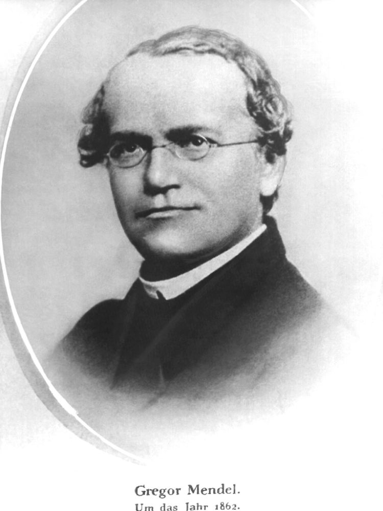 Ein Augustinermönch wurde zum Vater der Genetik: Gregor Mendel, geboren am 20. Juli 1822.