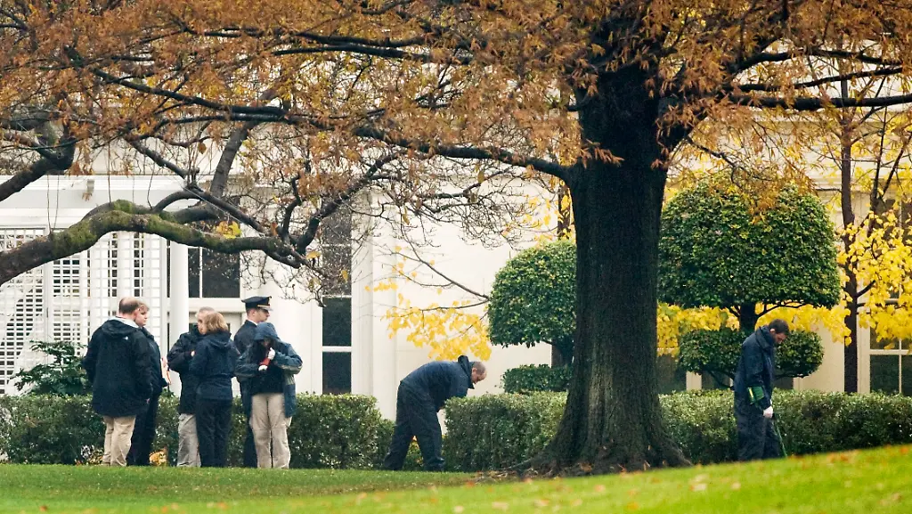 31d93336-jpg7821950187096762992