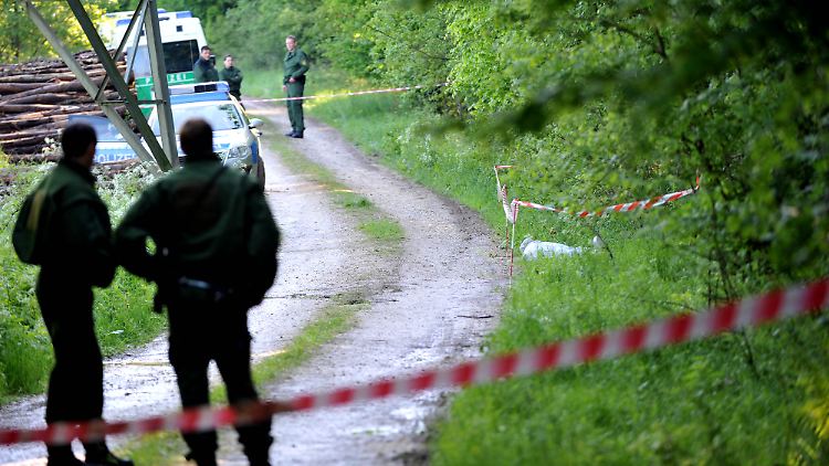 Die Leiche von Maria Bögerl wurde am 3. Juni 2010 in diesem Waldstück gefunden.