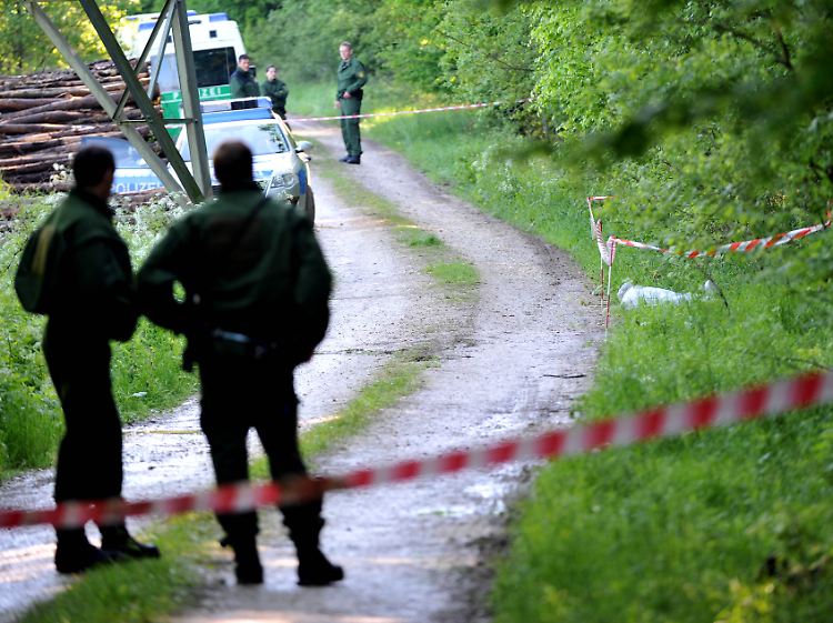 Die Leiche von Maria Bögerl wurde am 3. Juni 2010 in diesem Waldstück gefunden.