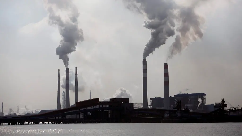 31591853-jpg1893317455741992457