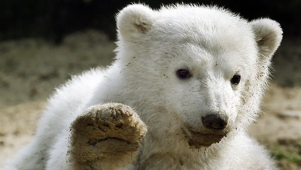 317m4738-jpg1911807232350839565