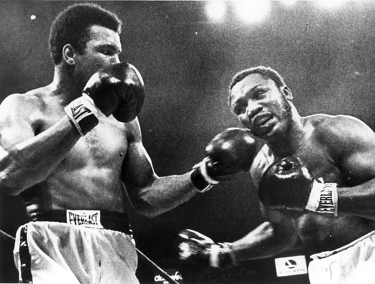 317k5120-jpg6722076032926307430