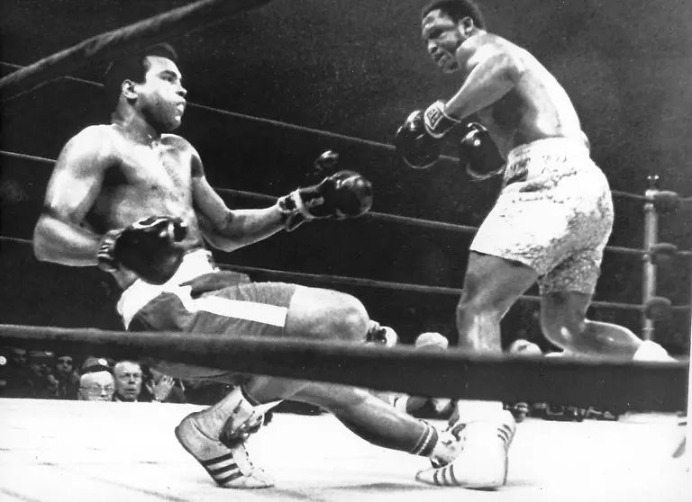 317l0514-jpg7446962220752633572