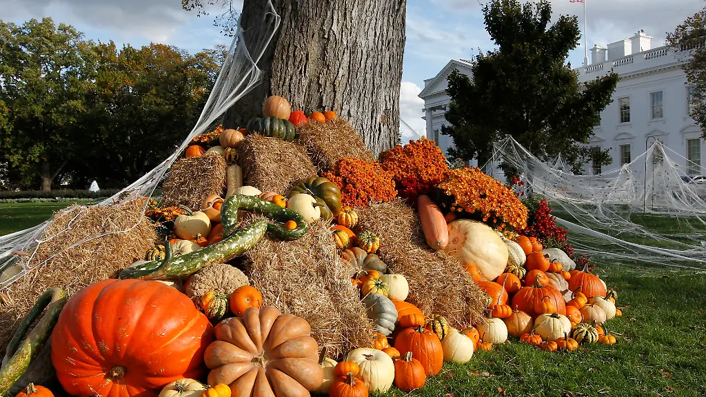 DAB2686-20111031-jpg3994966078482158336