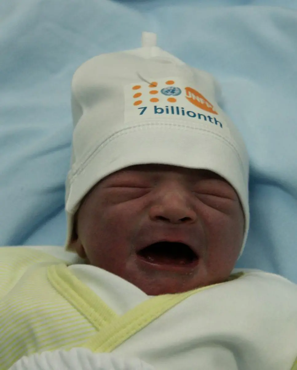 1320036870-jpg2977454613027399897