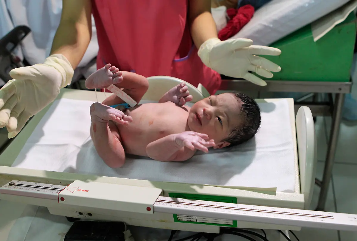 1320036442-jpg3703307438633294846