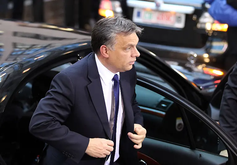 30z82640-jpg824825831846072517