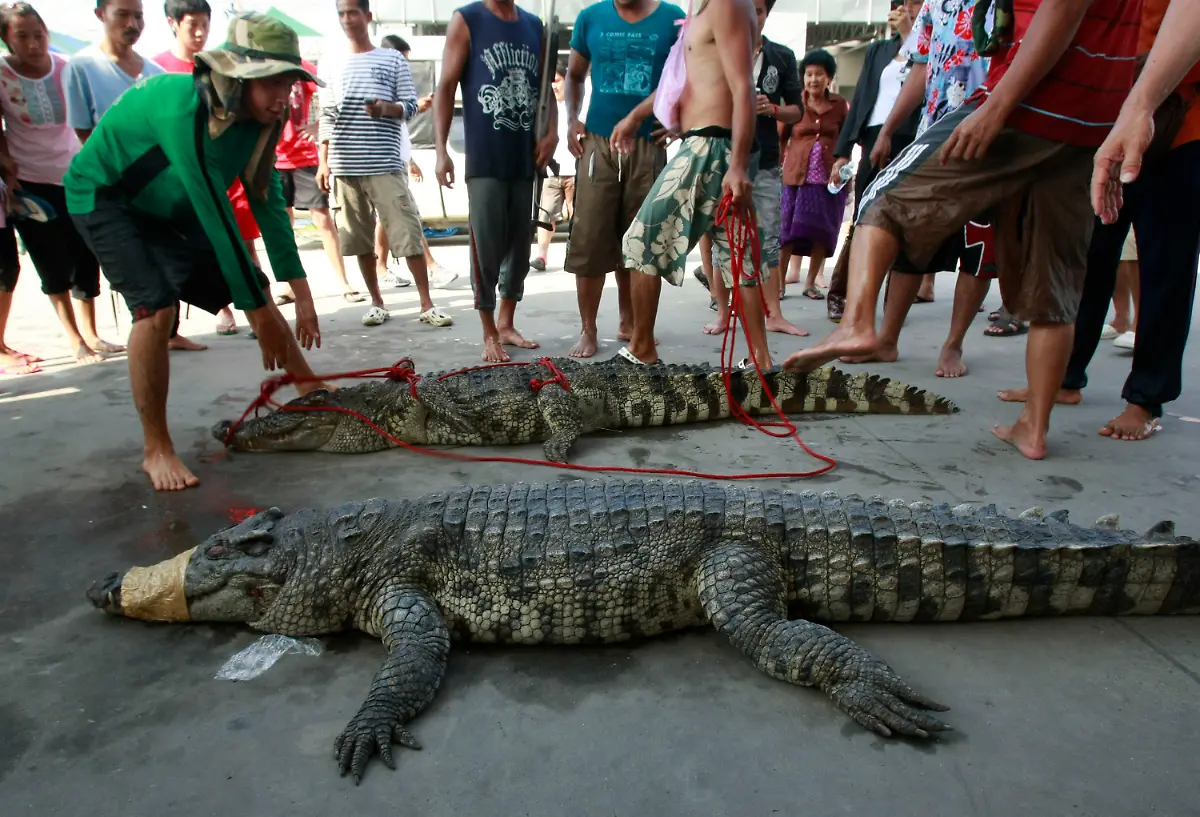 1319368058-jpg7801976014174496584