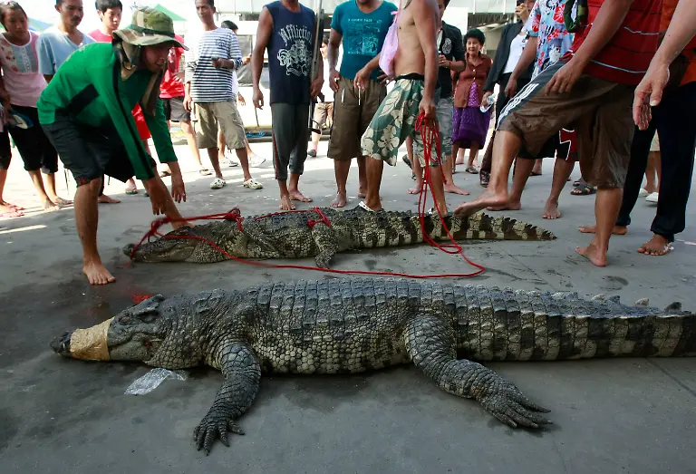 1319368058-jpg7801976014174496584