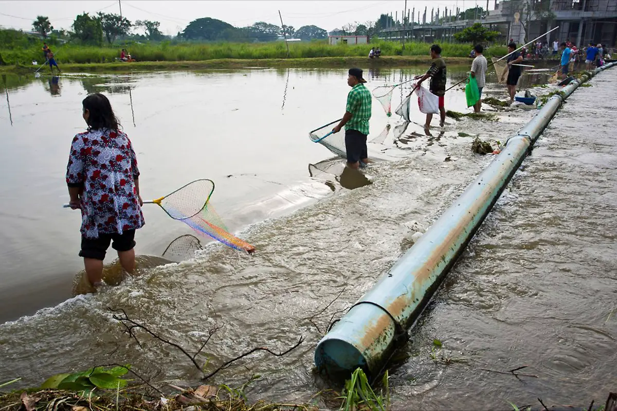 1319108635-jpg5971259422512639330