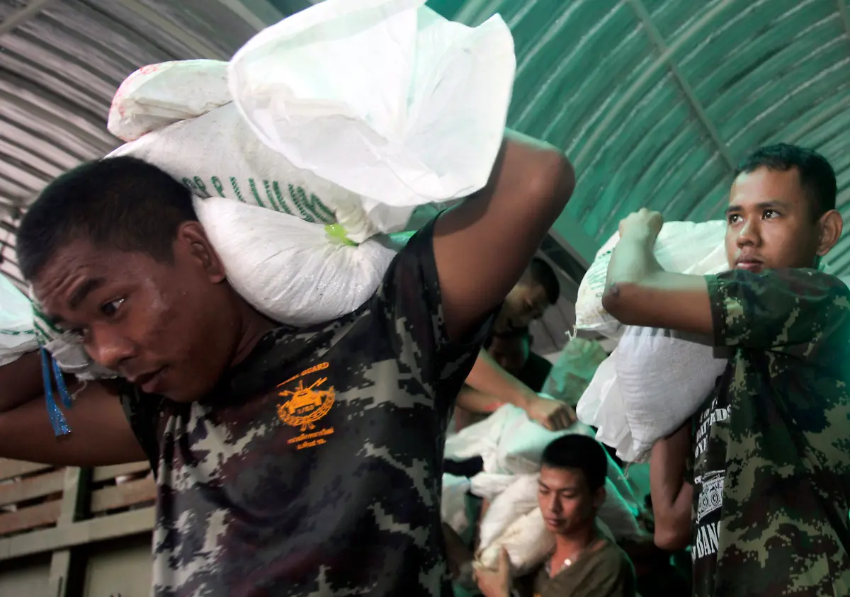 DAB1489-20111023-jpg916552896013007649