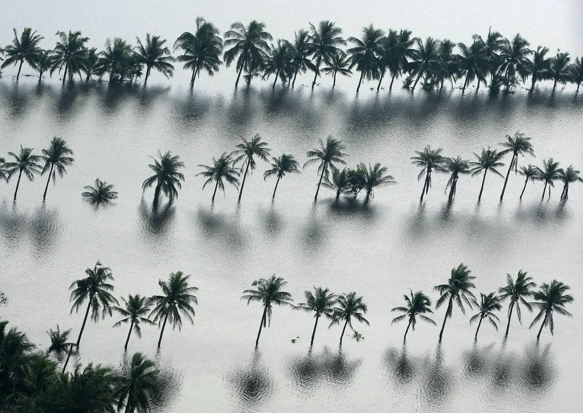 30tn0724-jpg7336708678664453750