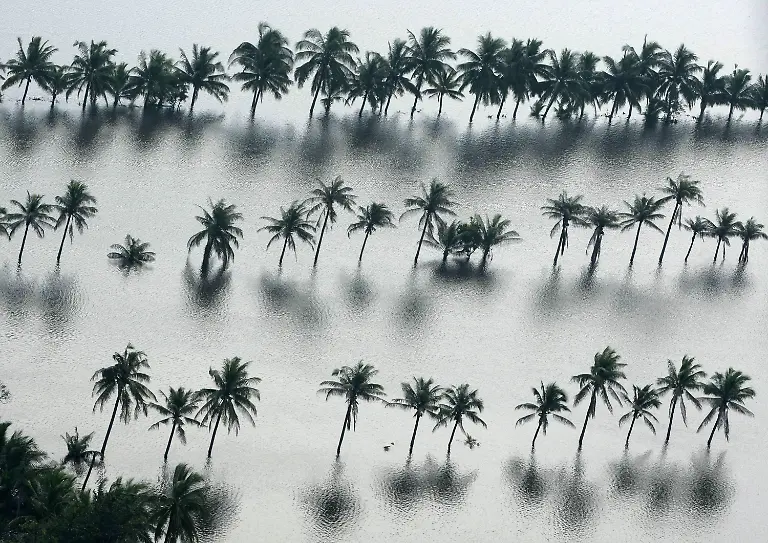 30tn0724-jpg7336708678664453750